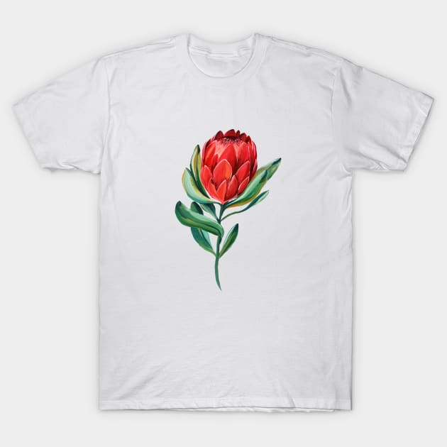 Red Protea T-Shirt by Karliefie